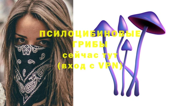 кокс Абдулино