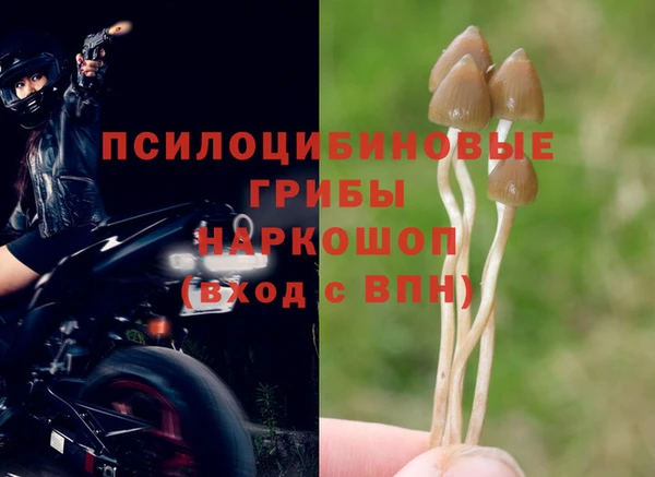 гашишное масло Абинск