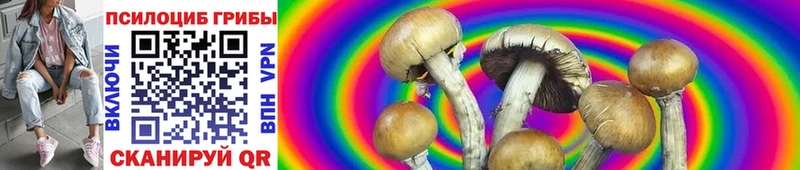 hydra tor купить наркотики сайты Елизаветинская Галлюциногенные грибы GOLDEN TEACHER